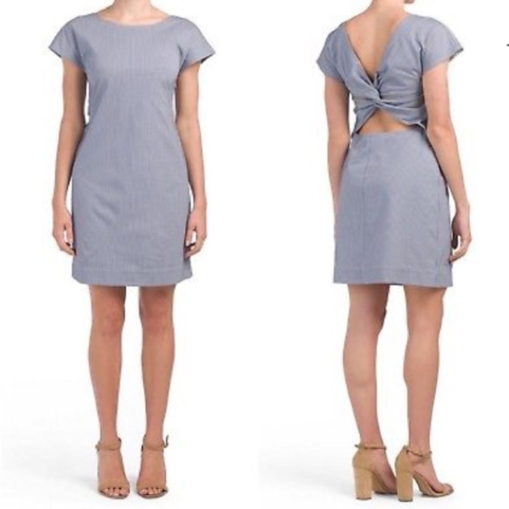 NEW Theory Andrizza Blue Striped Dress Sz4